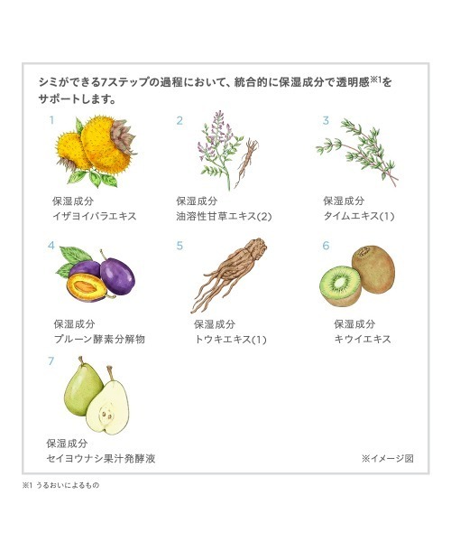 ETVOS(エトヴォス)の「薬用 UVホワイトニングクリアセラム【医薬部外品】(美容液/オイル/クリーム・レディース・その他・FREE)」の9枚目の写真
