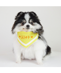 PETDERELLA PROJECT（ペッデレラプロジェクト）の「ネームクールスカーフ（イエロー）（ペットウェア）」