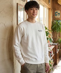 【HANGTEN/ハンテン】裏毛バックプリントトレーナー スウェット クルーネック サーフ カジュアル ストリート アメカジ