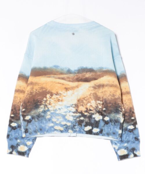 Desigual（デシグアル）の「風景画プリントボタンカーディガン（カーディガン/ボレロ・レディース・ブルー・S/M/XS/L）」の4枚目の写真