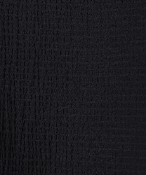 NOLLEY’S(ノーリーズ)の「ウォッシャブルシアーリップルフレンチスリーブブラウス(シャツ/ブラウス・レディース・オフホワイト/ブラック・FREE)」の11枚目の写真