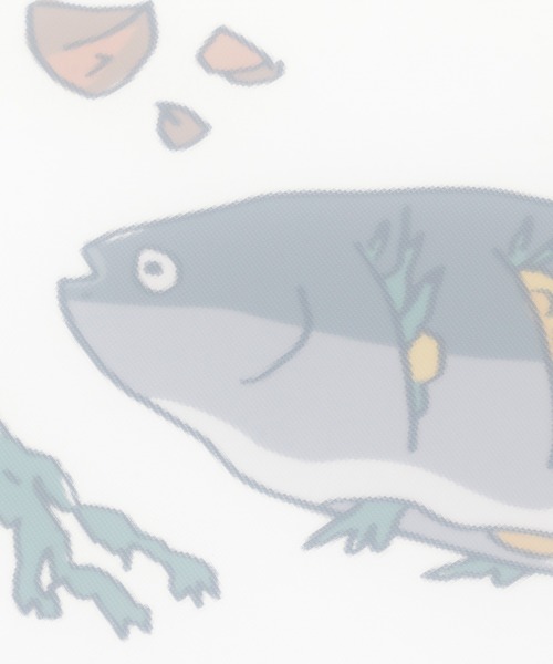 LAKOLE（ラコレ）の「ガード付きまな板 / LAKOLE（キッチンツール・レディース・その他2/その他4/その他5/その他1/その他3・FREE）」の14枚目の写真