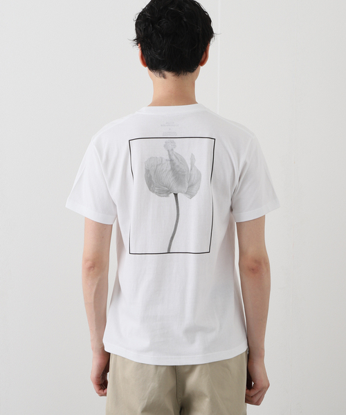 JOURNAL STANDARD（ジャーナルスタンダード）の「COLIN SUSSINGHAM Wild Flower Tee（Tシャツ/カットソー・メンズ・ホワイト・MEDIUM/LARGE/X-LARGE）」の5枚目の写真