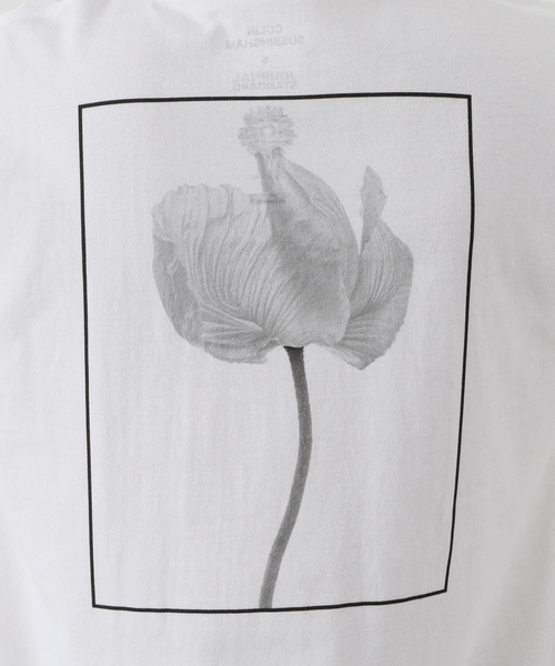 JOURNAL STANDARD（ジャーナルスタンダード）の「COLIN SUSSINGHAM Wild Flower Tee（Tシャツ/カットソー・メンズ・ホワイト・MEDIUM/LARGE/X-LARGE）」の11枚目の写真
