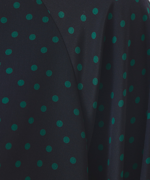 Rouge vif(ルージュヴィフ)の「ドット柄ボウタイブラウス(シャツ/ブラウス・レディース・ブラック/ネイビー・フリー)」の17枚目の写真