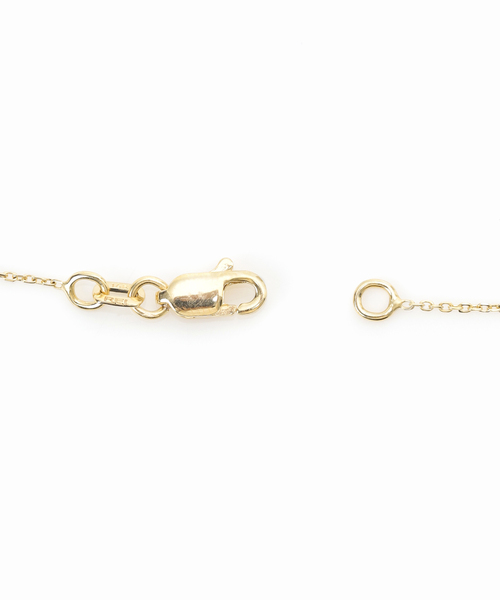 AP STUDIO(エーピーストゥディオ)の「【NEW TOP JEWELRY/ニュートップジュエリー】Cactus*skinny chain Necklace(ネックレス・レディース・ゴールド・FREE)」の10枚目の写真
