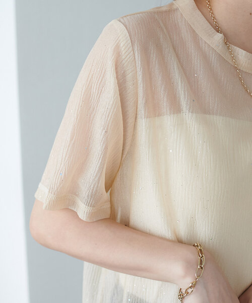 DISCOAT（ディスコート）の「【WEB限定】シアーキラキラT（Tシャツ/カットソー・レディース・ライトベージュ/ピンク/ブラック・MEDIUM）」の18枚目の写真