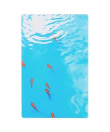 HIGHTIDE（ハイタイド）の「Transparent Photo Bookmark 透明写真栞 しおり ブックマーカー（本）」