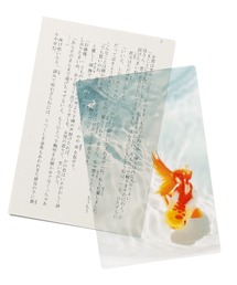 HIGHTIDE（ハイタイド）の「Transparent Photo Bookmark 透明写真栞 しおり ブックマーカー（本）」