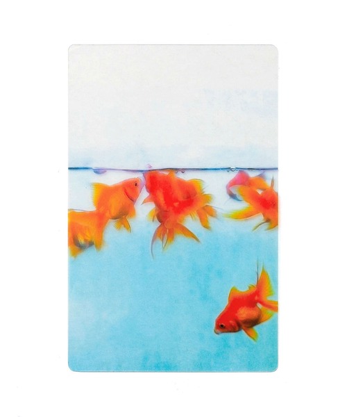 HIGHTIDE(nC^Ch)Transparent Photo Bookmark ʐ^x  ubN}[J[({)