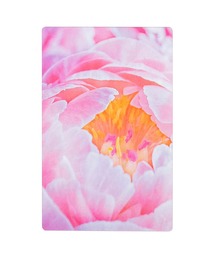 HIGHTIDE（ハイタイド）の「Transparent Photo Bookmark 透明写真栞 しおり ブックマーカー（本）」