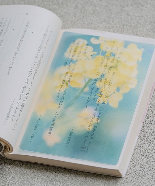 Transparent Photo Bookmark 透明写真栞 しおり ブックマーカー