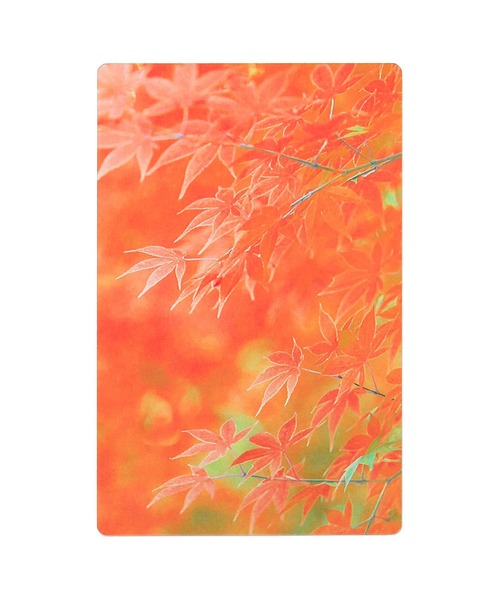 HIGHTIDE(ハイタイド)の「Transparent Photo Bookmark 透明写真栞 しおり ブックマーカー(本・レディース・その他21/その他23/その他16/その他18/その他3/その他19/その他22/その他13/その他10/その他8/その他11/その他5/その他1/その他20/その他12/その他9/その他7/その他4/その他17/その他15/その他14/その他2/その他6/その他24/その他25/その他26・FREE)」の22枚目の写真