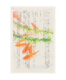 HIGHTIDE（ハイタイド）の「Transparent Photo Bookmark 透明写真栞 しおり ブックマーカー（本）」