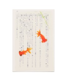 HIGHTIDE（ハイタイド）の「Photo & focus フォト アンド フォーカス 透明写真栞（本）」