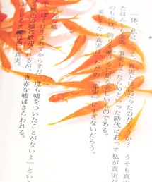 HIGHTIDE（ハイタイド）の「Transparent Photo Bookmark 透明写真栞 しおり ブックマーカー（本）」