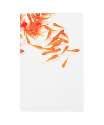 HIGHTIDE（ハイタイド）の「Photo & focus フォト アンド フォーカス 透明写真栞（本）」