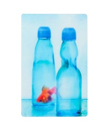 HIGHTIDE（ハイタイド）の「Photo & focus フォト アンド フォーカス 透明写真栞（本）」