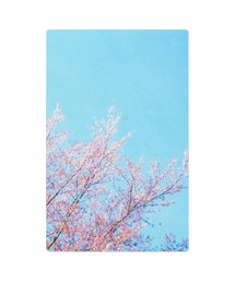 HIGHTIDE（ハイタイド）の「Transparent Photo Bookmark 透明写真栞 しおり ブックマーカー（本）」