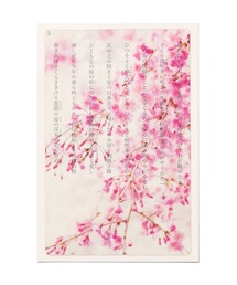 HIGHTIDE（ハイタイド）の「Transparent Photo Bookmark 透明写真栞 しおり ブックマーカー（本）」