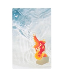 HIGHTIDE（ハイタイド）の「Photo & focus フォト アンド フォーカス 透明写真栞（本）」