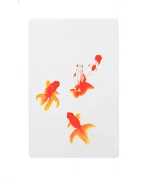 HIGHTIDE（ハイタイド）の「Photo & focus フォト アンド フォーカス 透明写真栞（本）」