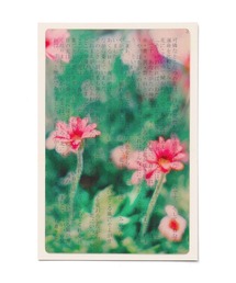 HIGHTIDE（ハイタイド）の「Photo & focus フォト アンド フォーカス 透明写真栞 しおり（本）」