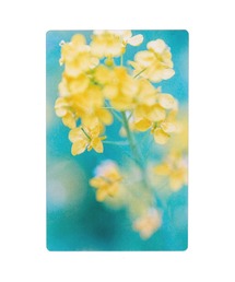 HIGHTIDE（ハイタイド）の「Photo & focus フォト アンド フォーカス 透明写真栞（本）」