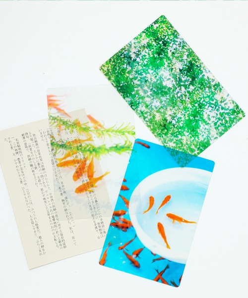 Transparent Photo Bookmark 透明写真栞 しおり ブックマーカー（本