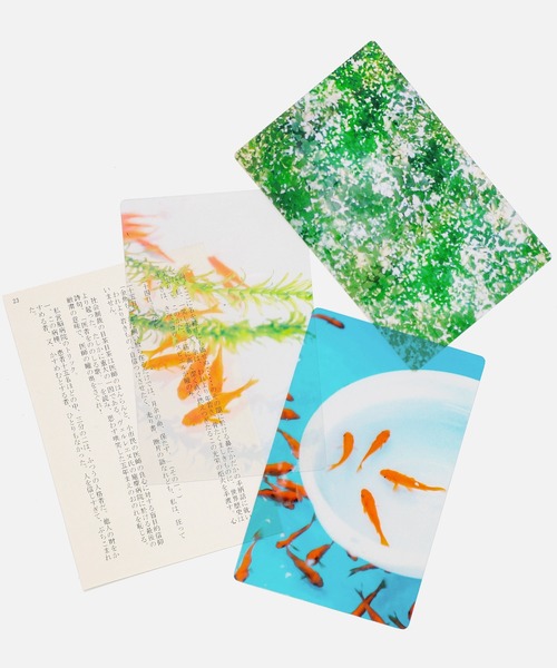 しおり Transparent Photo Bookmark 透明写真栞 しおり ブックマーカー