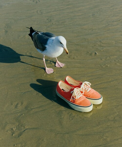 VANS / VANS For BEAMS BOY Authentic Vintage Orange 【公式通販】