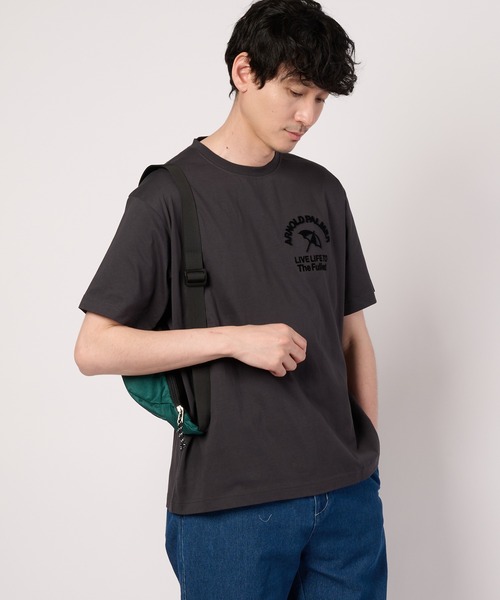 Arnold Palmer(アーノルドパーマー)の「【汗ジミ防止】シェア サガラ刺繍 ロゴ Tシャツ(Tシャツ/カットソー・レディース・チャコールグレー/サックスブルー/ベージュ/ホワイト・LL/XS/L/M/S)」の3枚目の写真