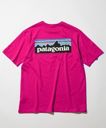 patagonia(�p�^�S�j�A)�́yPatagonia�zBasic Logo TEE(T�V���c/�J�b�g�\�[)