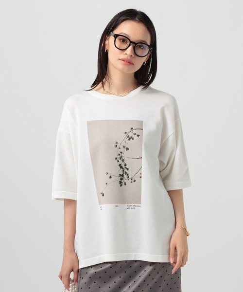 BAYFLOW(ベイフロー)の「フォトプリントニットTシャツ(ニット/セーター・レディース・ピンク/グレー/オフホワイト・FREE)」の2枚目の写真