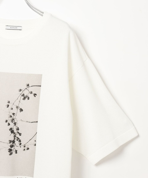 BAYFLOW(ベイフロー)の「フォトプリントニットTシャツ(ニット/セーター・レディース・ピンク/グレー/オフホワイト・FREE)」の19枚目の写真