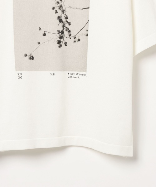 BAYFLOW(ベイフロー)の「フォトプリントニットTシャツ(ニット/セーター・レディース・ピンク/グレー/オフホワイト・FREE)」の9枚目の写真