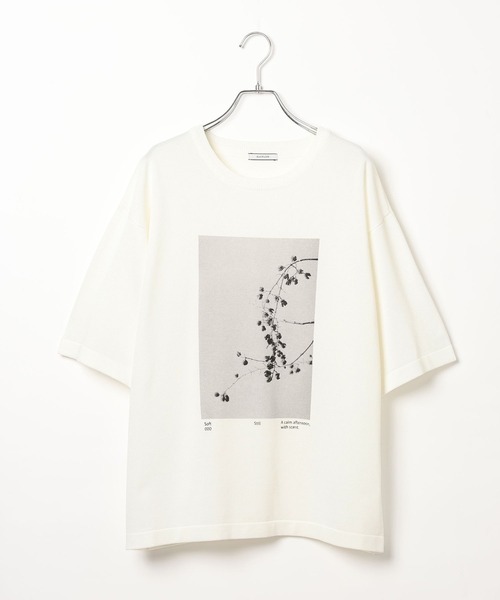 BAYFLOW(ベイフロー)の「フォトプリントニットTシャツ(ニット/セーター・レディース・ピンク/グレー/オフホワイト・FREE)」の11枚目の写真
