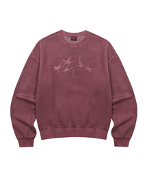 DESIRED（デシレッド）の「スター ロゴ PIGMENT 裏起毛スウェットTシャツ-FFSK5112D0R（スウェット）」