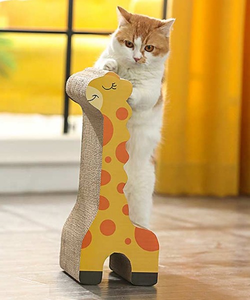 もふもふ ふわふわな猫が可愛すぎる 癒しの写真と毛並みをふわふわに保つコツ