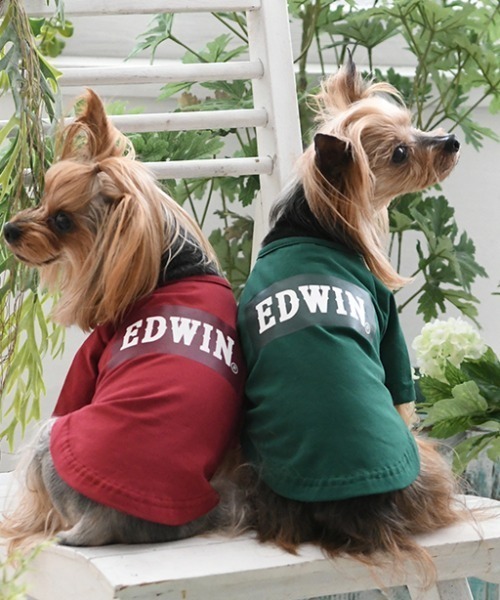 EDWIN（エドウィン）の「EDWIN/ボックスロゴＴ（ペットウェア・メンズ・レッド/グリーン・S/L/XS/M/3L/2L）」の3枚目の写真