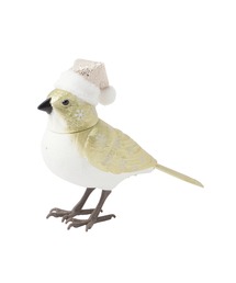 Francfranc/インテリア雑貨のファッション通販 - ZOZOTOWN