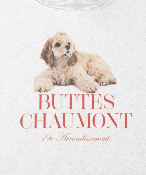 Right-on（ライトオン）の「【HONEYSUCKLE ROSE】デザインロゴスウェット（スウェット・レディース・ネイビー/キナリ/ダークグレー/ベージュ/グリーン/オフホワイト・M/L/XL）」の16枚目の写真