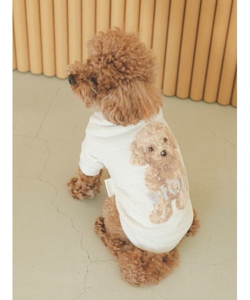 GELATO PIQUE トイプードルジャガードセット GELATO PIQUEトイプードルシリーズ