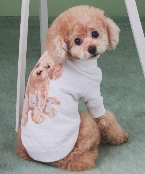 GELATO PIQUE トイプードルジャガードセット gelato pique（ジェラートピケ）【CAT&DOG】【販路限定商品