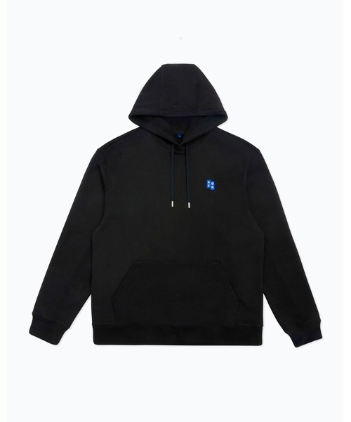 ADER error（アーダーエラー）の「ADER error/アーダーエラー
