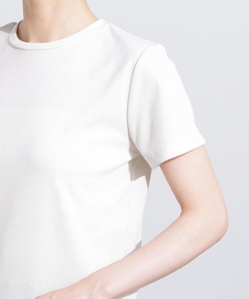 N.（N. Natural Beauty Basic）（エヌエヌナチュラルビューティーベーシック）の「ラメリブコンパクトＴ（Tシャツ/カットソー・レディース・オフホワイト/ブラック/イエロー/ブラウン・MEDIUM）」の16枚目の写真
