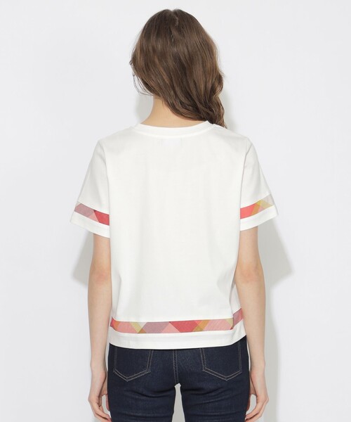 WEB限定】バイオシルケットスムースチェックラインTシャツ（T