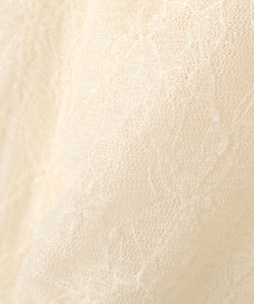 PROPORTION BODY DRESSING（プロポーションボディドレッシング）の「＜ウォッシャブル＞ラッフルレースブラウス / 1215210011（シャツ/ブラウス・レディース・ホワイト系その他/ブラック・FREE）」の18枚目の写真