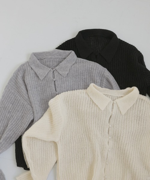 透かし編みポロニットプルオーバー（ニット/セーター）｜hellam（へ