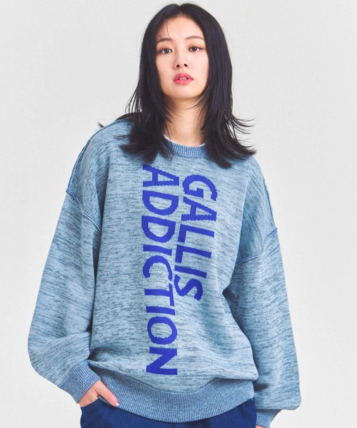 GALLIS ADDICTION(ガリスアディクション)の「GA ロゴニット(ニット/セーター・メンズ・チャコール/グレー/ブラック・L/M)」の22枚目の写真